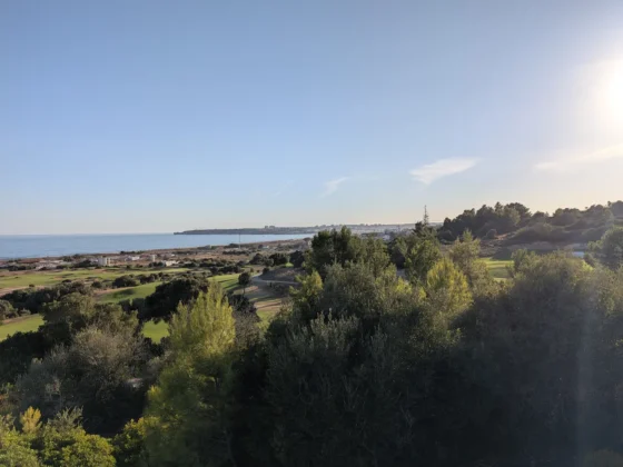 Google Pixel 11 Pro XL