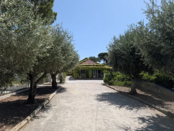 Hotel Casa Palmela