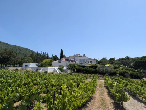 Hotel Casa Palmela