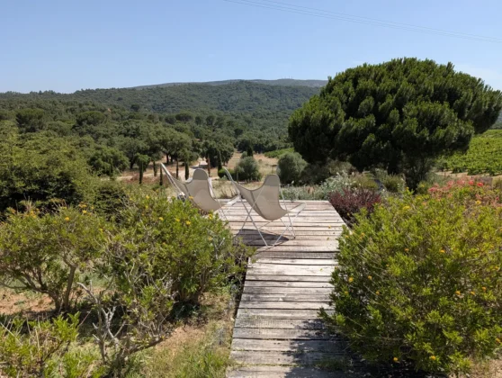 Hotel Casa Palmela