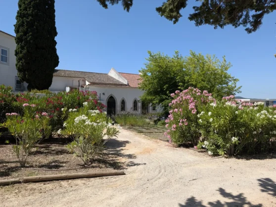 Hotel Casa Palmela