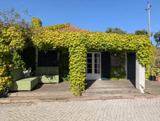Hotel Casa Palmela