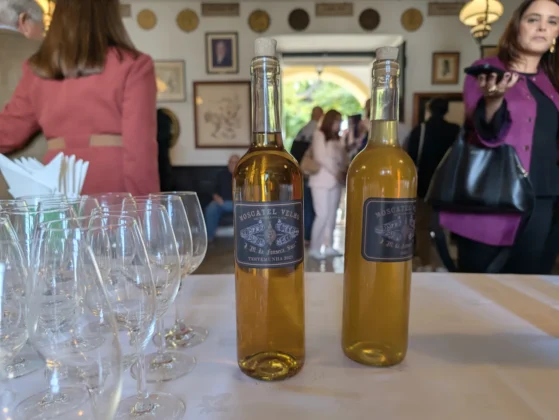 Torna Viagem moscatel 2023