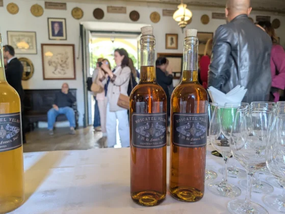 Torna Viagem Moscatel 2017